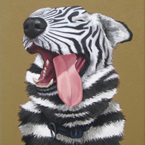 Dog in stripes