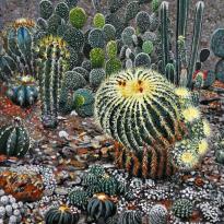 Bejewelled cactus garden
