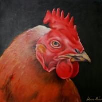 Animals as food: Chicken #1