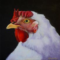 Animals as Food: Chicken Portrait #3