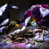 Magpie and flowers