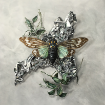 Cicada and Wattle on Aluminium
