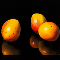 Mangoes - SOLD