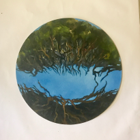 mangrove circle